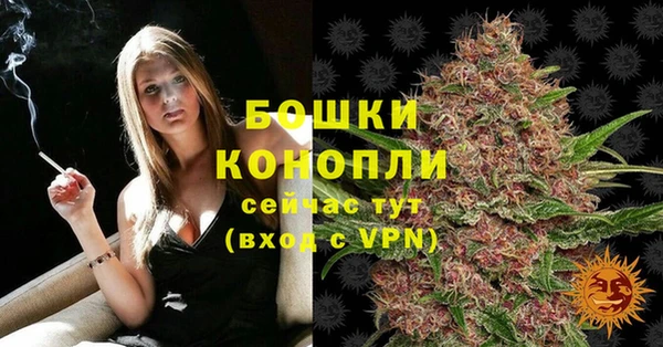 стаф Белоозёрский