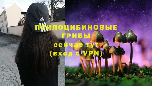 гашиш Снежногорск