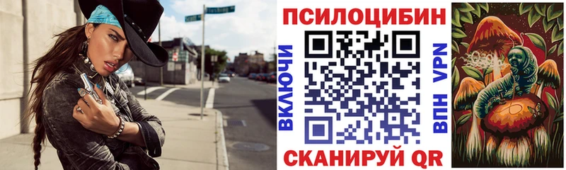 где продают   Городец  Галлюциногенные грибы ЛСД 